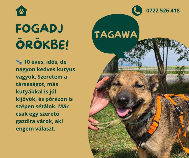 Tagawa