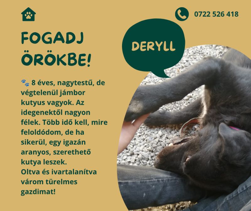 Deryll