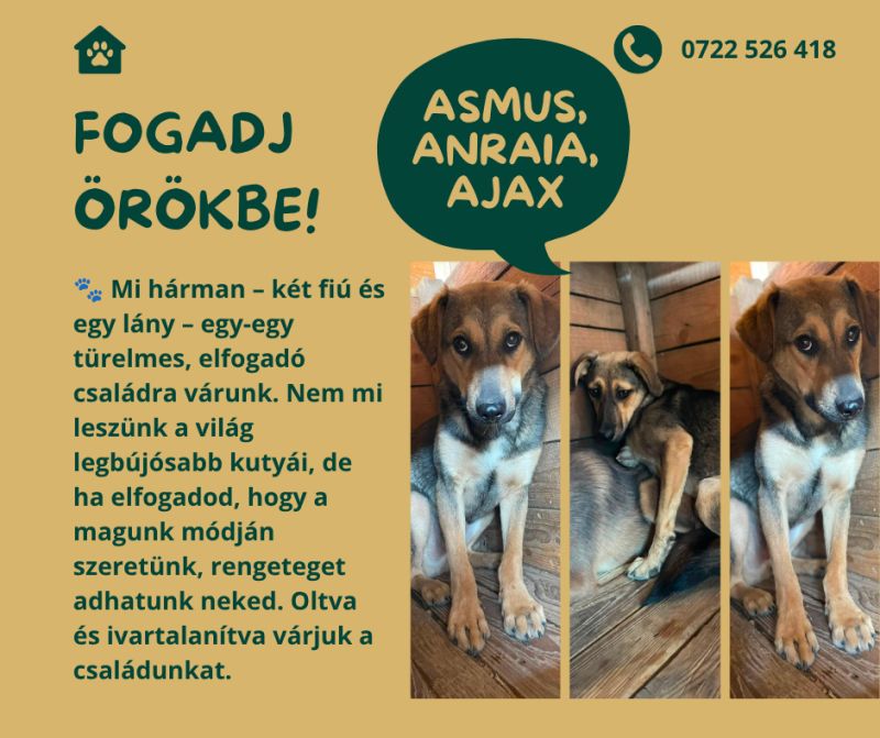 Asmus Anraia Ajax