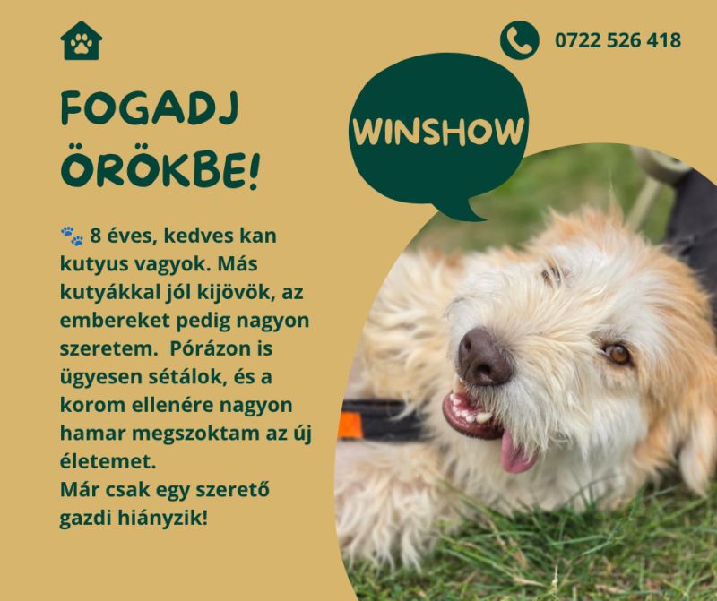 Winshow