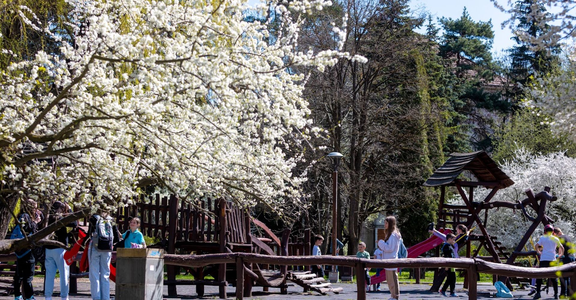 Tavasz3